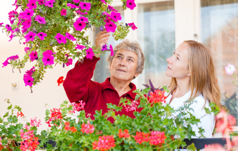 An elderly woman in a red sweater and a young woman with long blonde hair are tending to vibrant pink and red flowers in a garden or greenhouse setting, with the elderly woman reaching up to touch a hanging pink flower.
